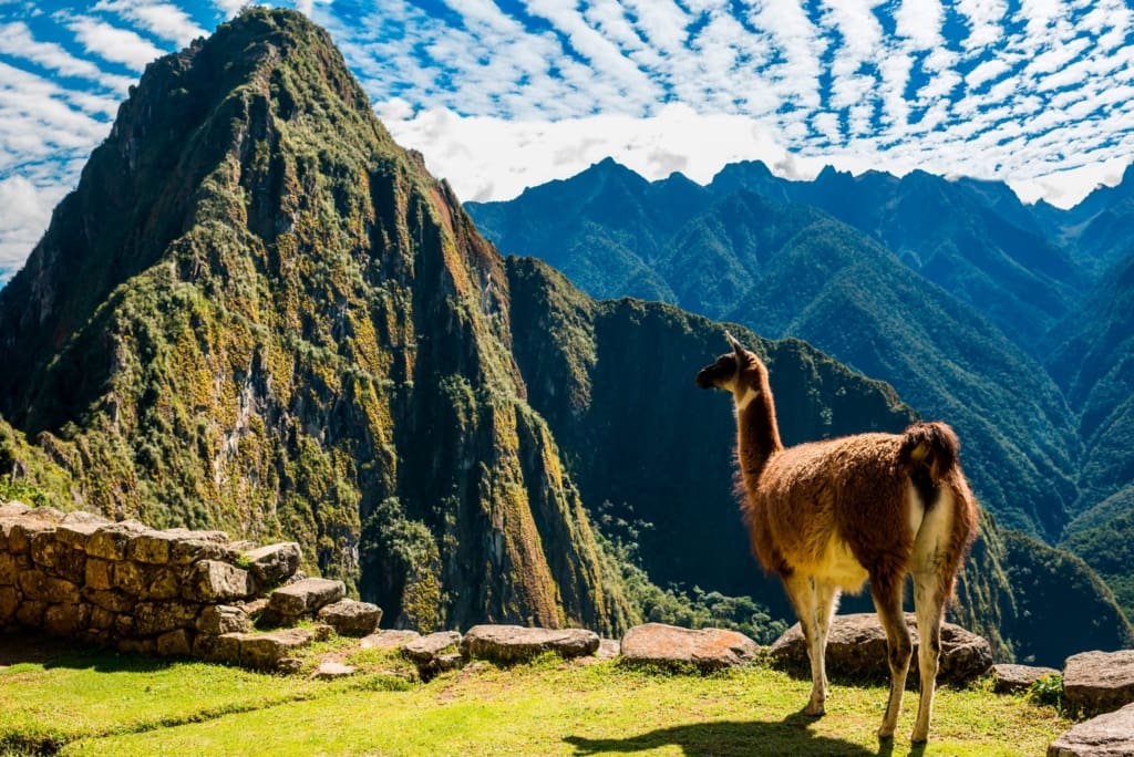 Rejser til Peru - Inkatrail