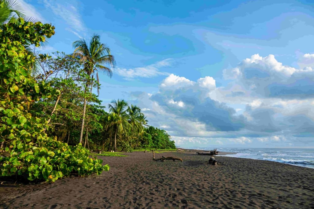 Stranden ved hotellet Rejser til Costa Rica - Rejser til Tortugero - Laguna Lodge