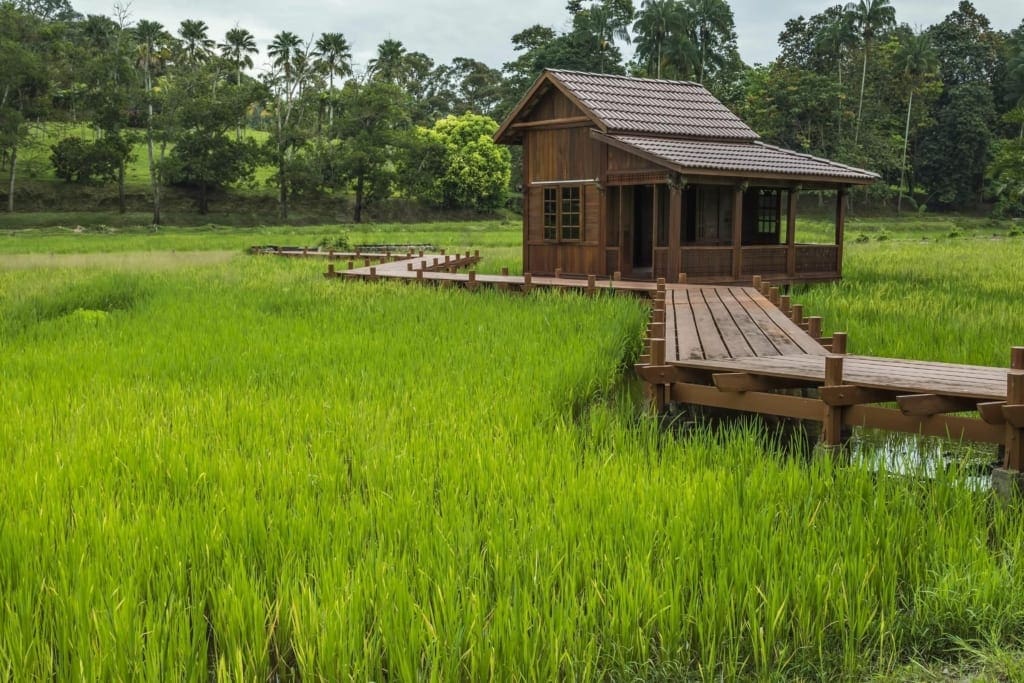 Rejser til Cambodia - En lille hytte i det fri