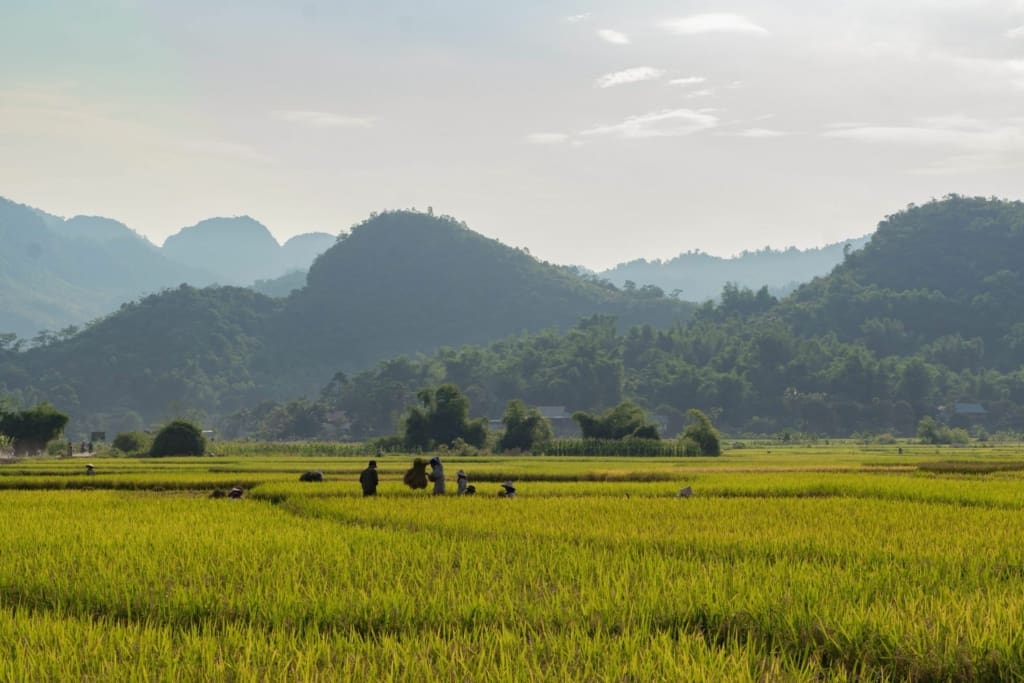 Rejser til Vietnam - Mai Chau dalen