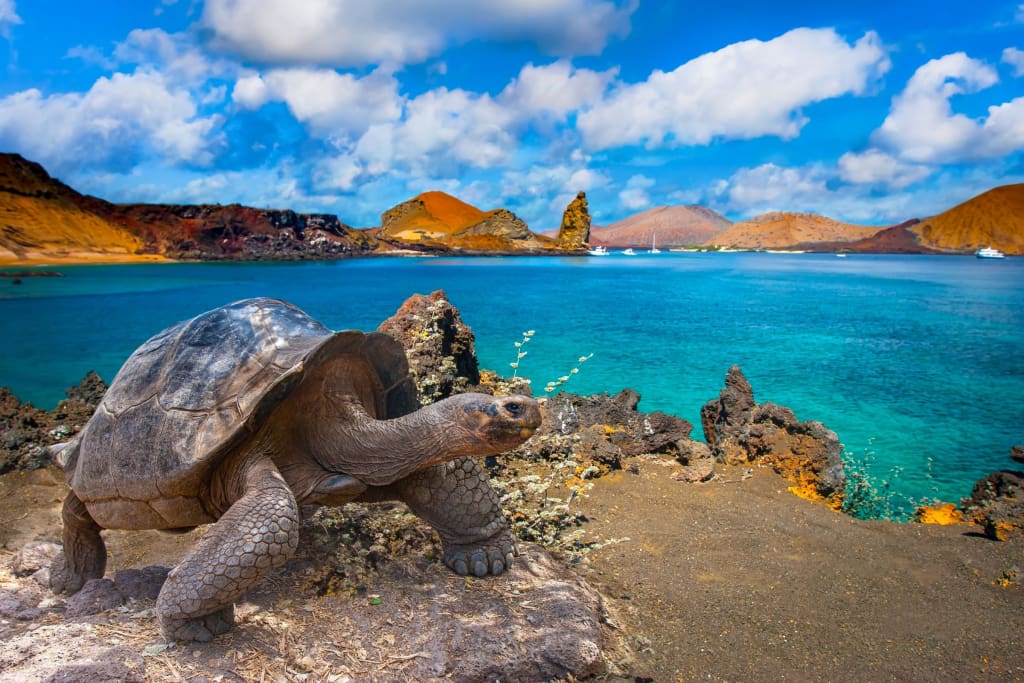 Rejser til Galapagos