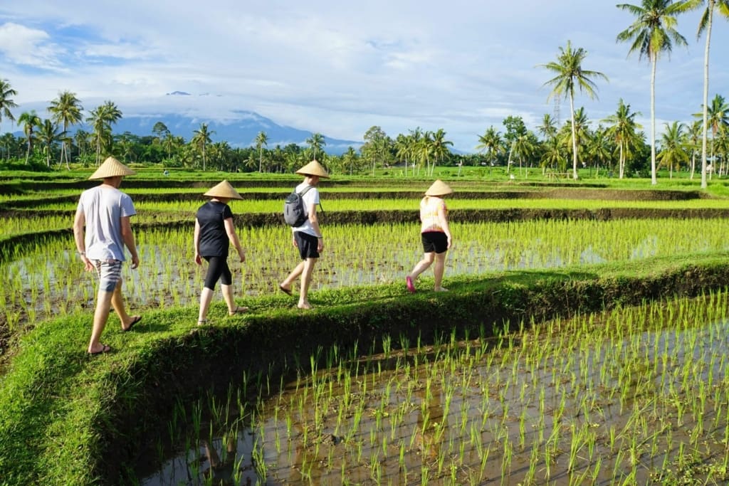 Rejser til Bali