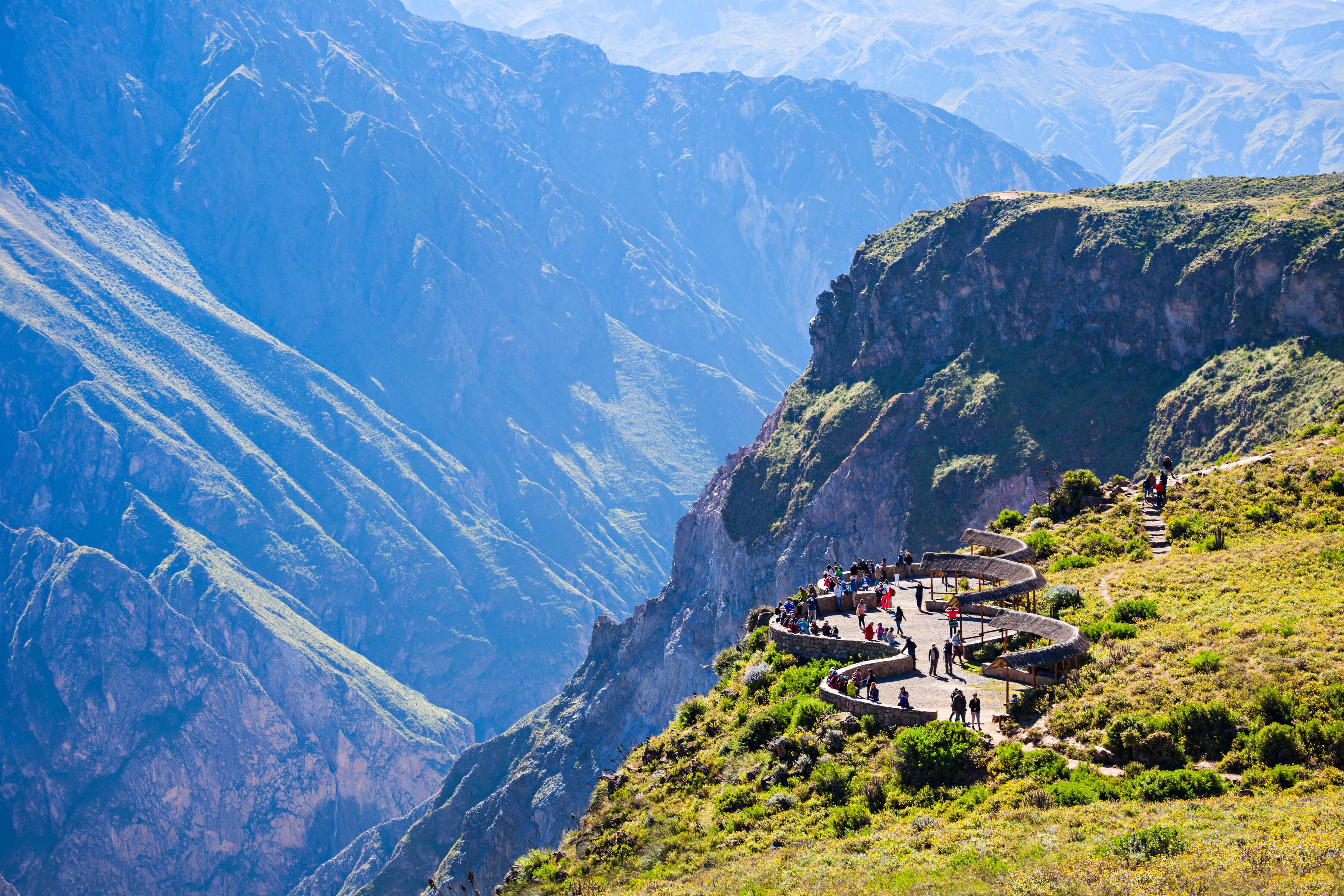 Rejser Til Colca Canyon Oplev Verdens St rste Rovfugl