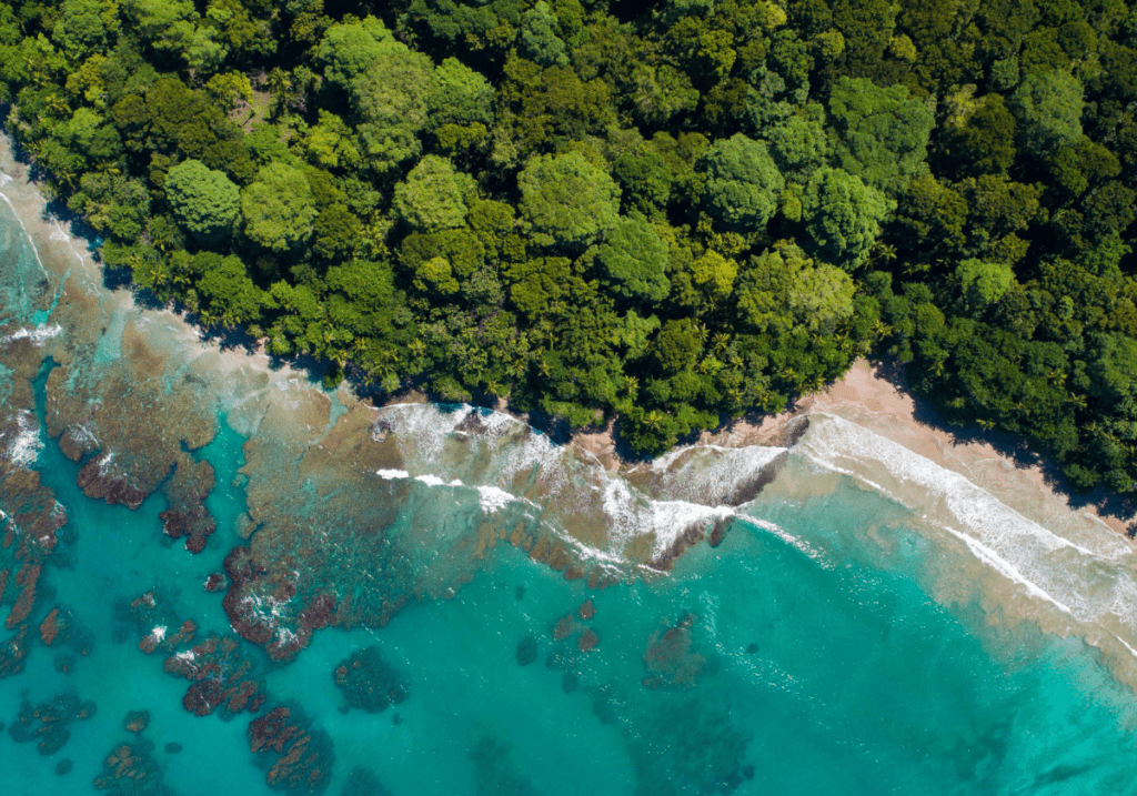 Rejser til Puerto Viejo, Rejser til Costa Rica