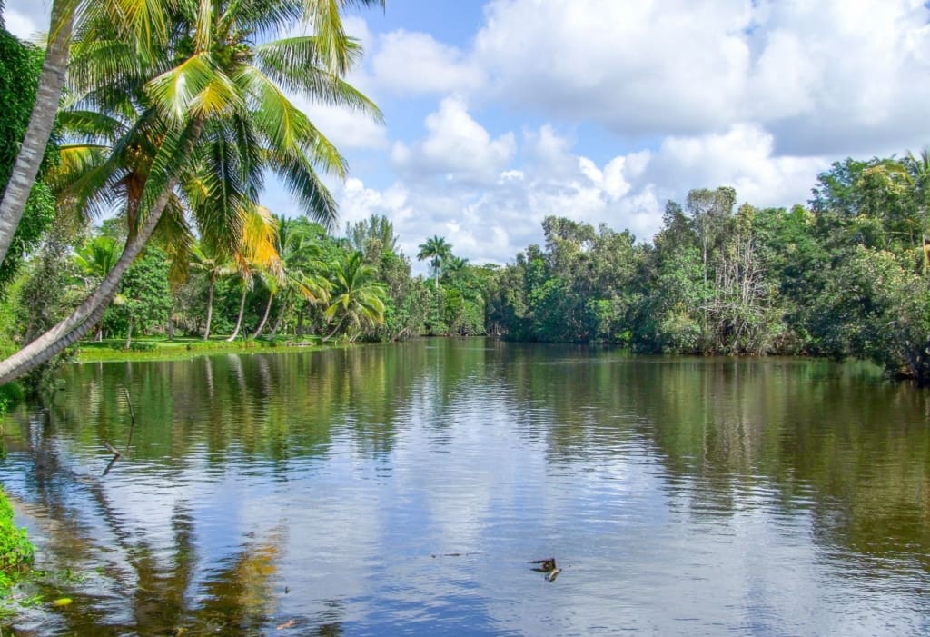 Rejser til Cuba - Rejser til Playa Larga