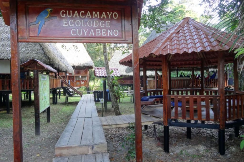 Rejser til Ecuador - Guacamayo Ecolodge