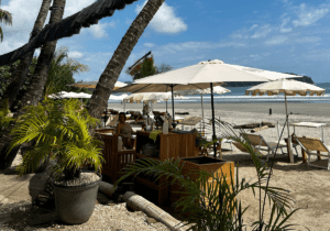 Playa Samara Rejser til Costa Rica, Rejser til Playa Samara