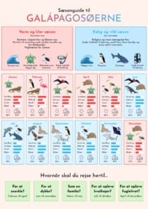 Sæsonguide til Galápagosøerne Rejser til Ecuador - Rejser til Galapagosøerne - Sæsonguide til Galapagosøerne