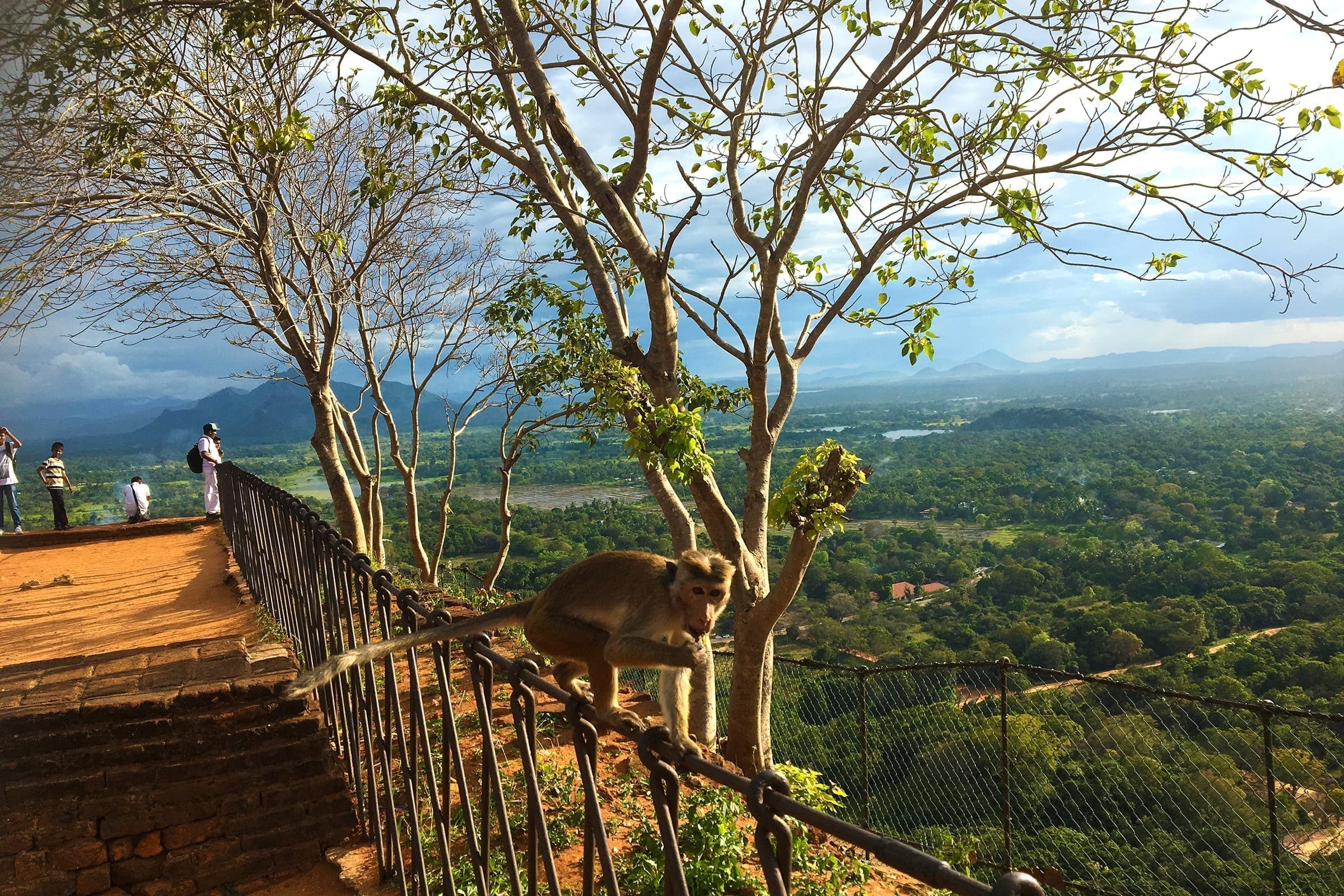Udsigten fra Løveklippen i Sigiriya