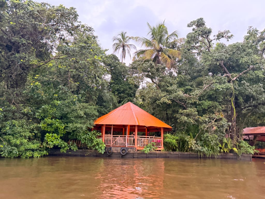 Rejser til Costa Rica - Pachira Lodge i Tortuguero