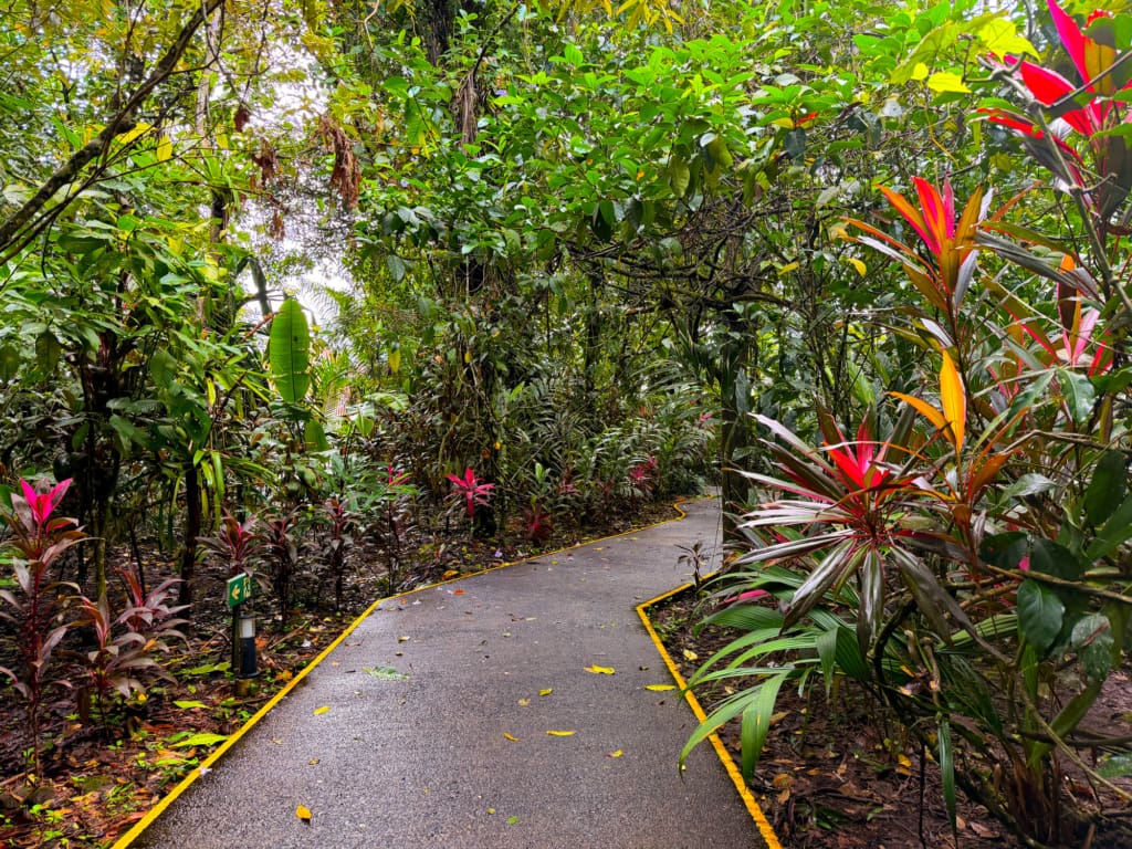 Rejser til Costa Rica - Pachira Lodge i Tortuguero