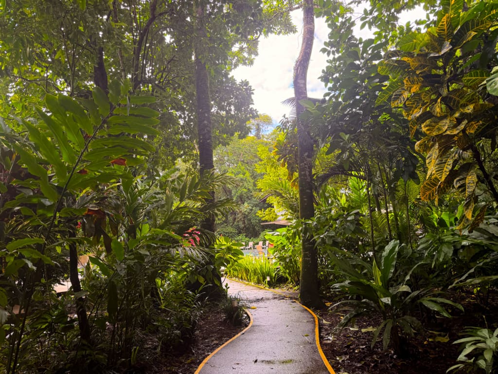 Rejser til Costa Rica - Pachira Lodge i Tortuguero