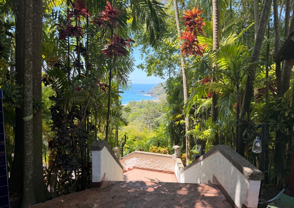 Hotel Costa Verde - Hotel i Manuel Antontio - Rejser til Costa Rica