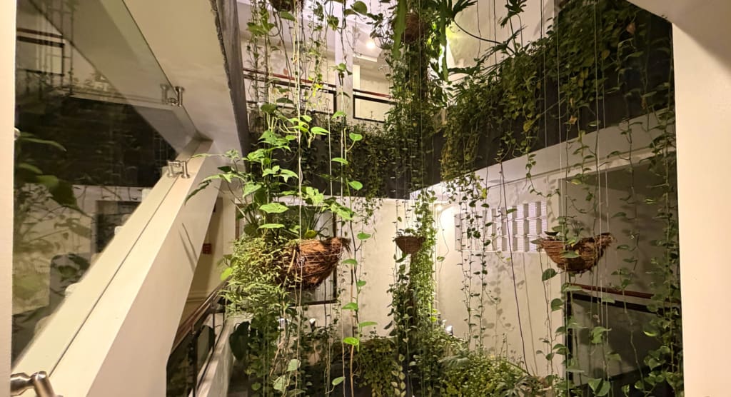 Rejser til Costa Rica - San Jose - Hotel Presidente San Jose