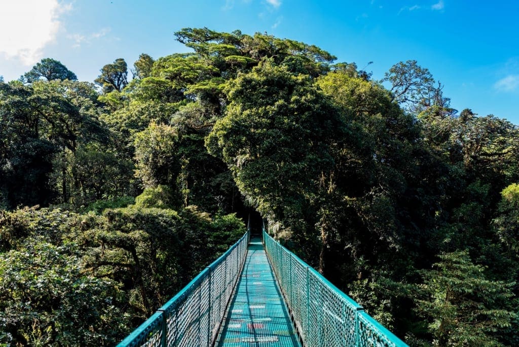Rejser til Costa Rica - Monteverde hængebro