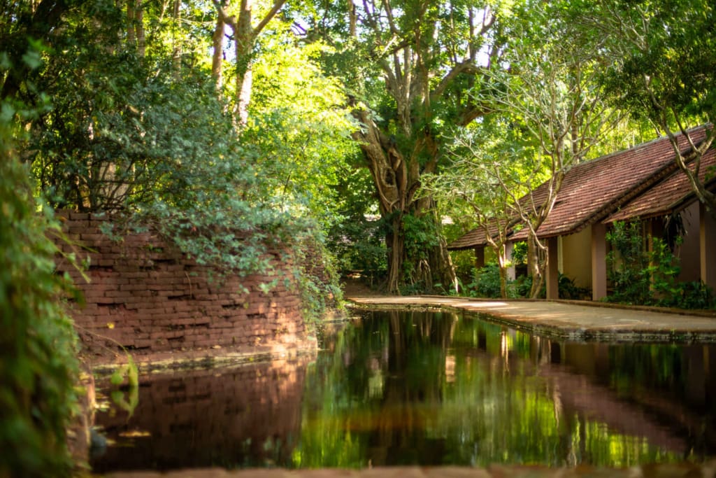 Rejser til Sri Lanka - Sigiriya - Sigiriya Village