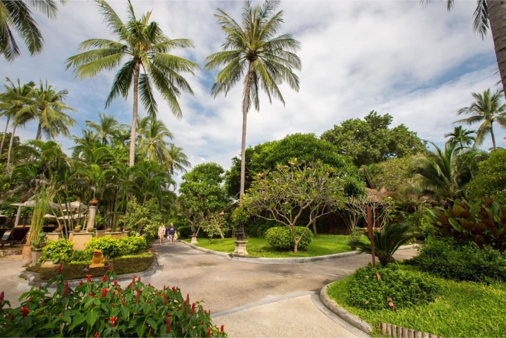 Rejser til Thailand - Rejser til Koh Samui - Fair House Beach Resort & Hotel