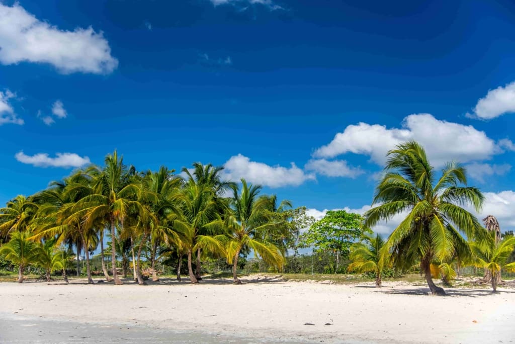Rejser til Cuba - Rejser til Playa Larga