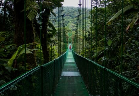Rejser til Costa Rica, Rejser til Monteverde
