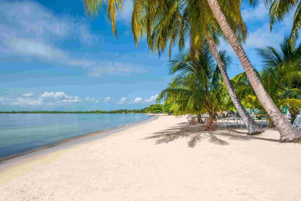 Rejser til Cuba - Rejser til Playa Larga