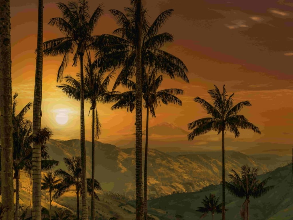 Rejser til Colombia - Rejser til Cocora Valley (Salento)