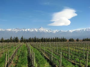 Rejser til Argentina - Mendoza