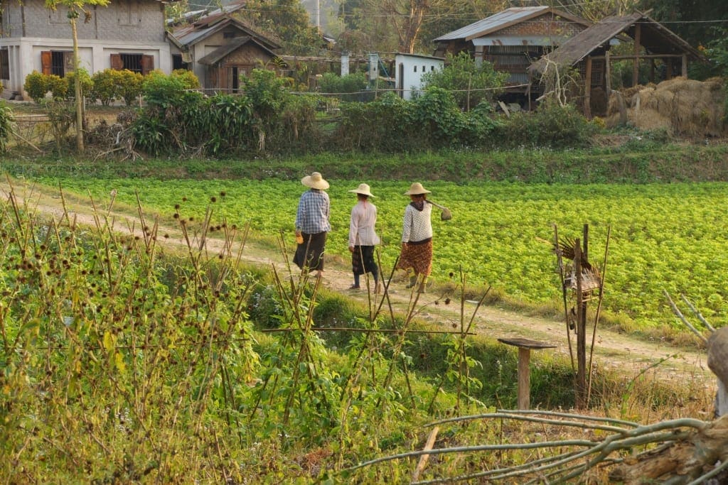 Rejser til Hsipaw | 100 % skræddersyede rejser til Burma