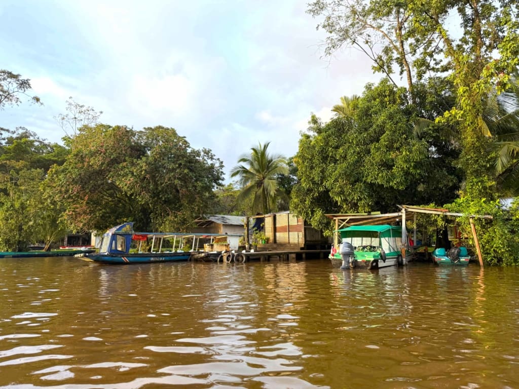 Tortuguero Rejser til Costa Rica, Rejser til Tortuguero