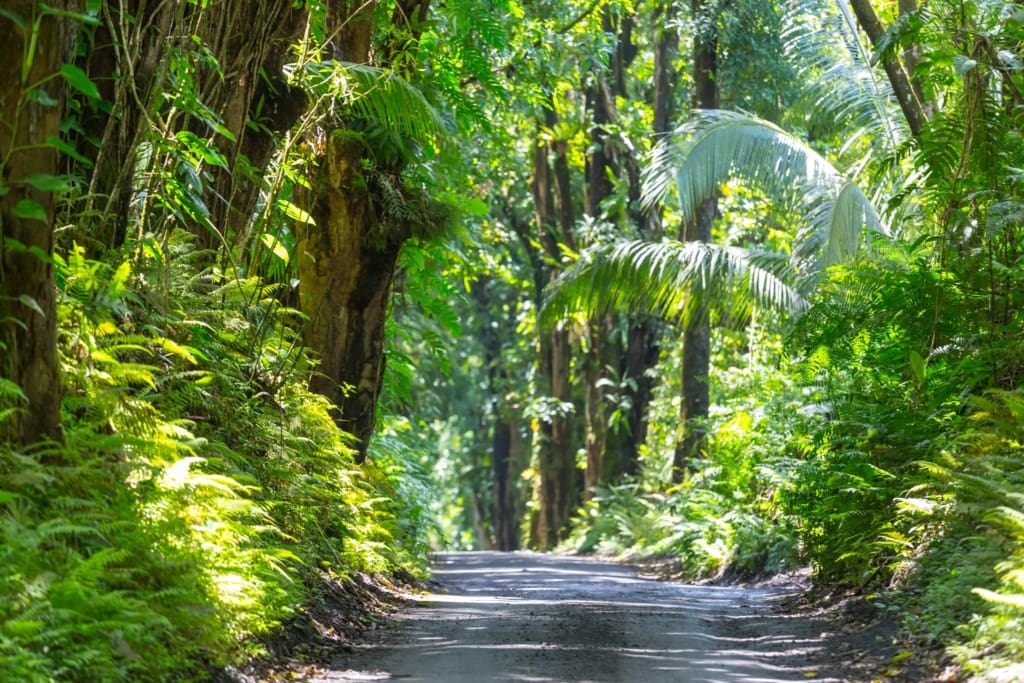 Corcovado Rejser til Costa Rica, Rejser til Corcovado