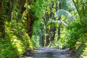 Corcovado Rejser til Costa Rica, Rejser til Corcovado