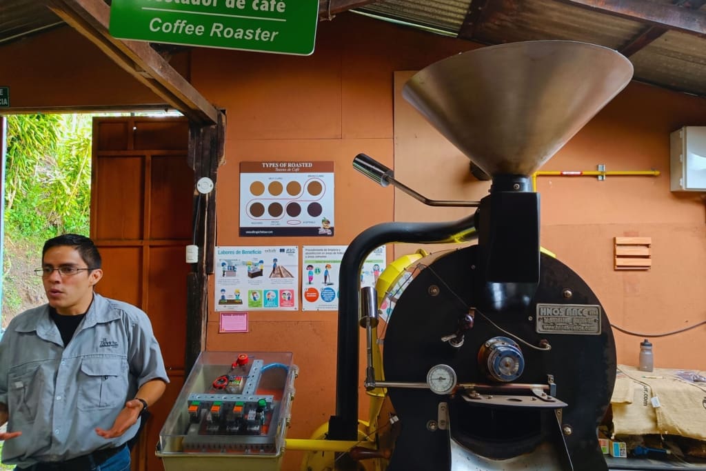 Oplevelser i Costa Rica - Oplevelser i Monteverde - Udforsk kaffe-, sukker- og chokoladeproduktionen i Monteverde