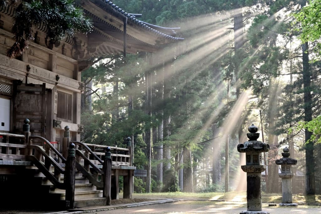 Rejser til Koyasan i Japan med C&C Travel Rejser til Koyasan i Japan med C&C Travel