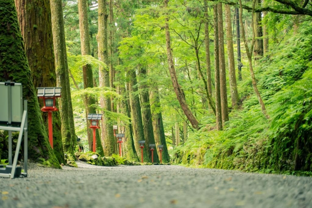 Rejser til Koyasan i Japan med C&C Travel Rejser til Koyasan i Japan med C&C Travel