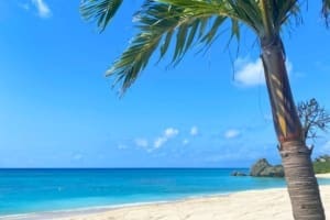 Rejser til Okinawa - Rejser til Japan med C&C Travel