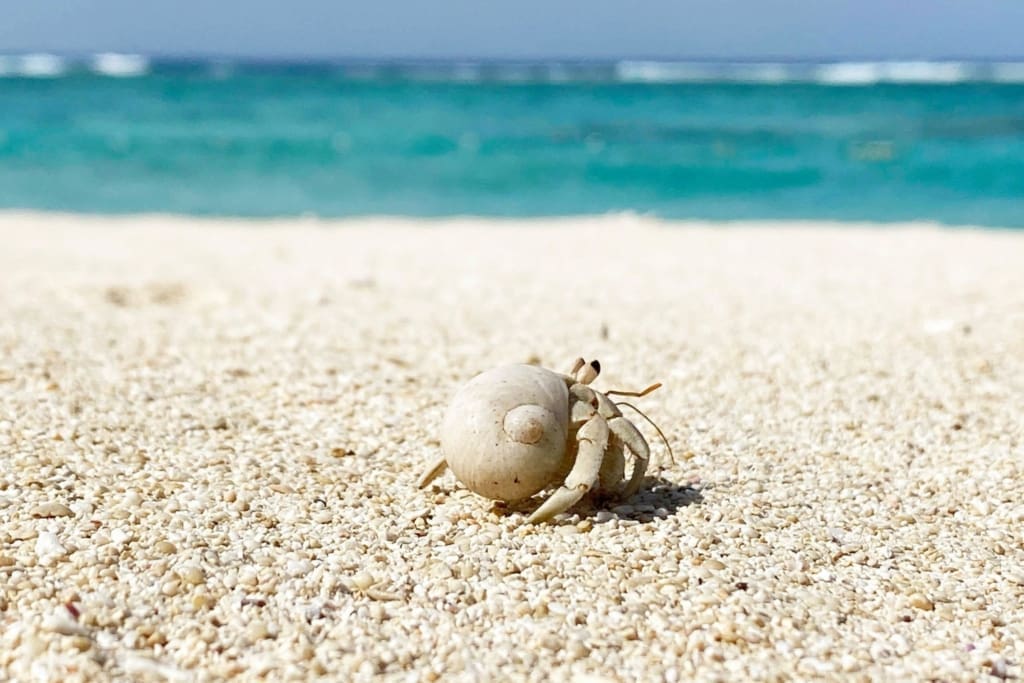 Rejser til Okinawa - Rejser til Japan med C&C Travel