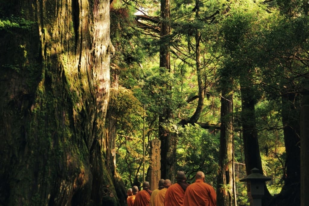 Rejser til Koyasan i Japan med C&C Travel Rejser til Koyasan i Japan med C&C Travel
