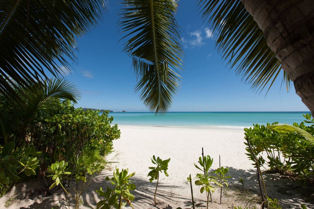 Rejser til Seychellerne - Acajou Beach Resort