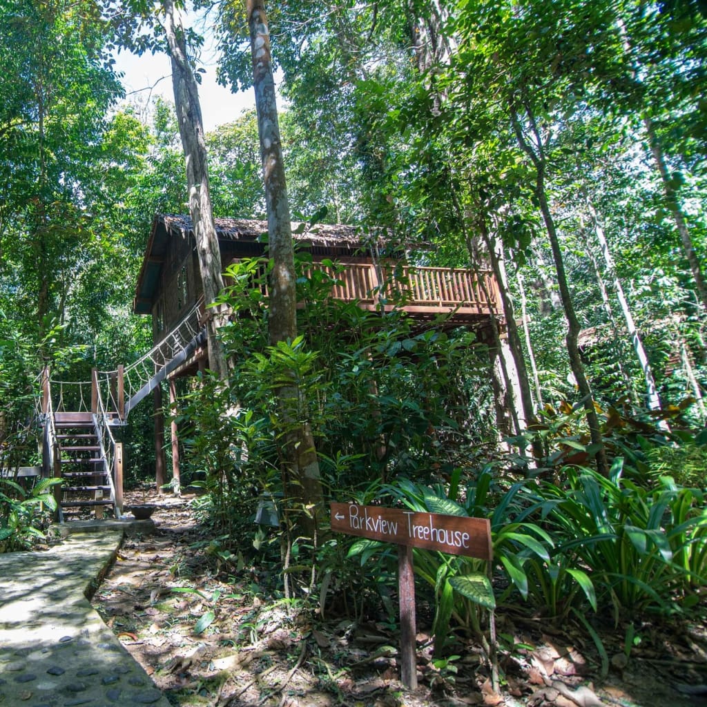 Our Jungle House - Khao Sok - Thailand