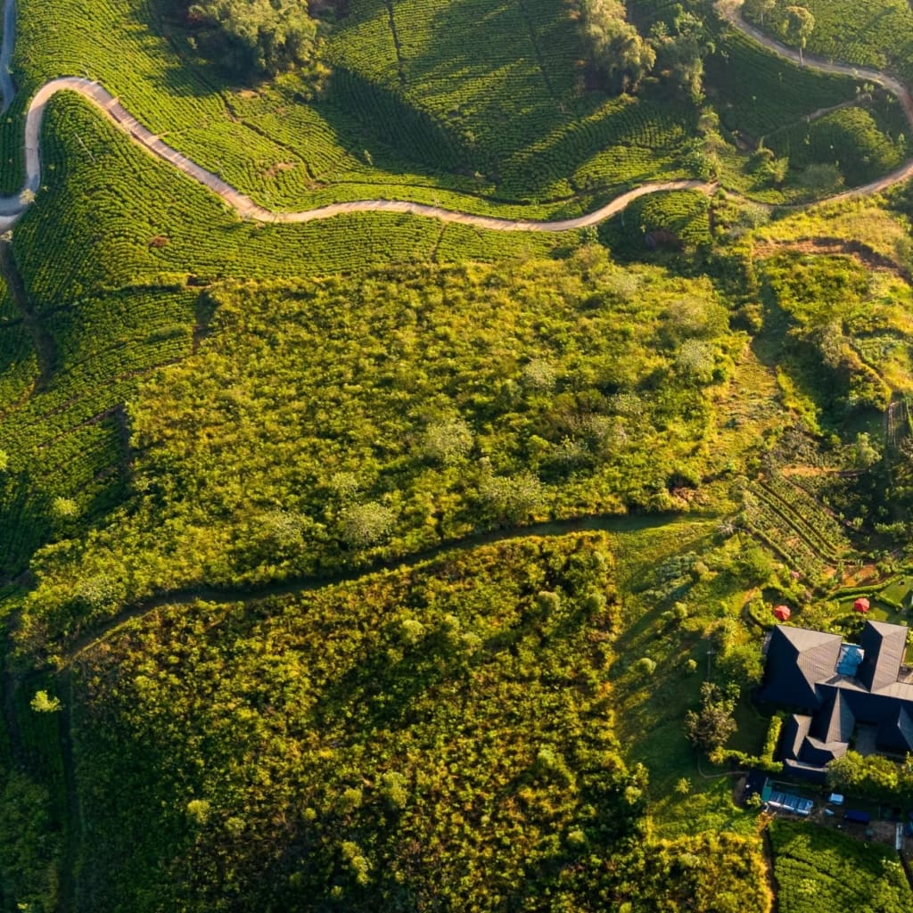Rejser til Hatton i Sri Lanka med C&C Travel