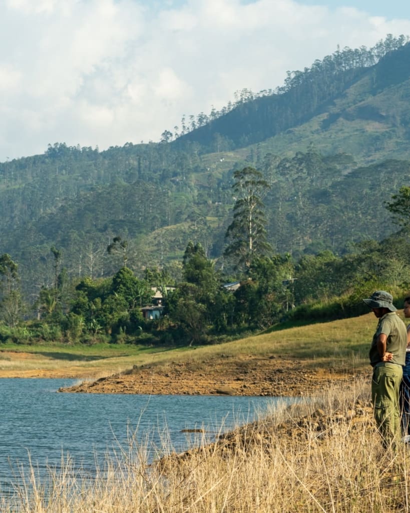 Rejser til Hatton i Sri Lanka med C&C Travel