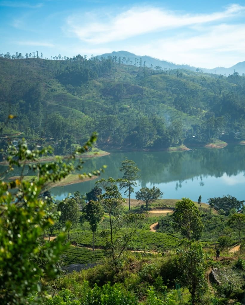 Rejser til Hatton i Sri Lanka med C&C Travel
