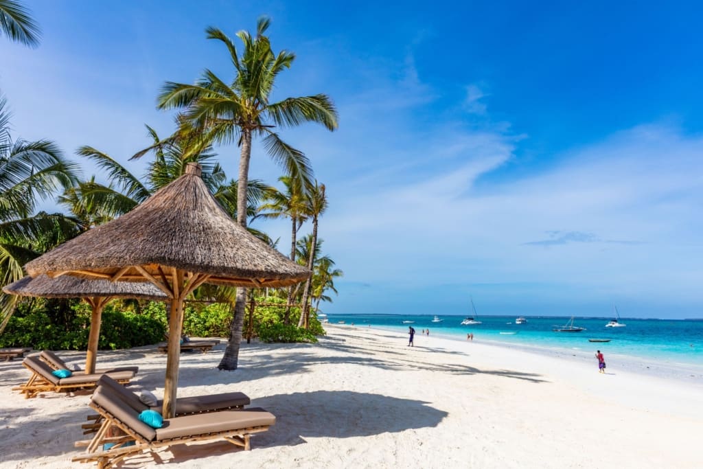 Rejser til Tanzania med C&C Travel