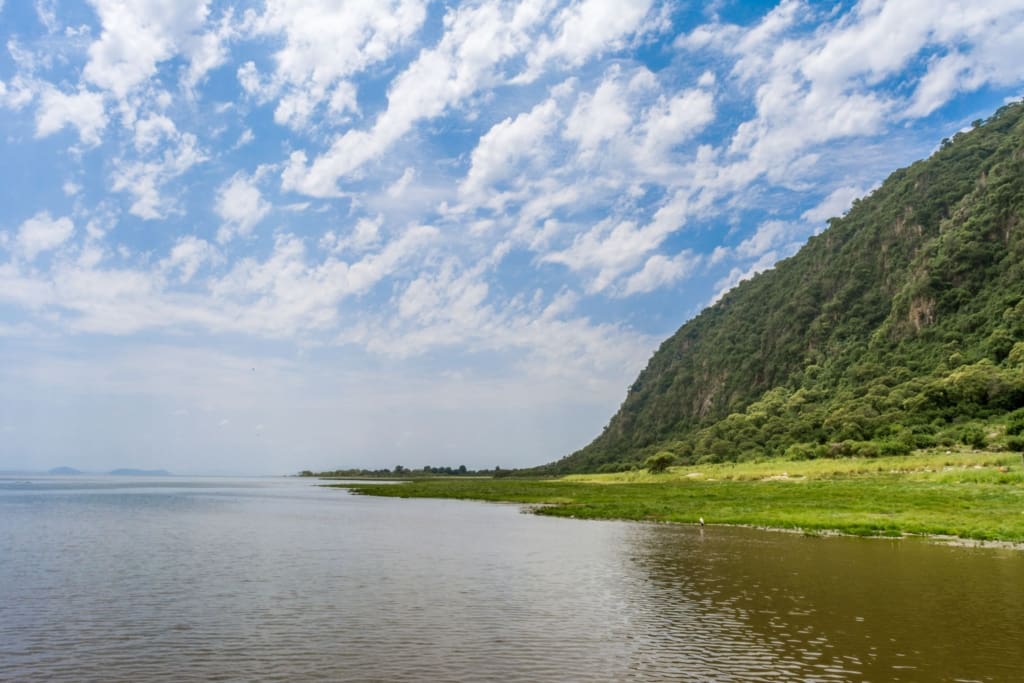Rejser til Lake Manyara National Park - Rejser til Tanzania med C&C Travel
