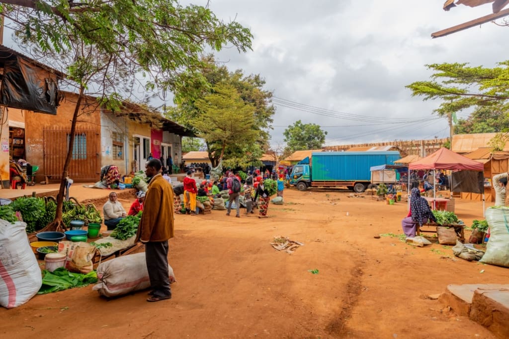 Rejser til Karatu - Rejser til Tanzania med C&C Travel