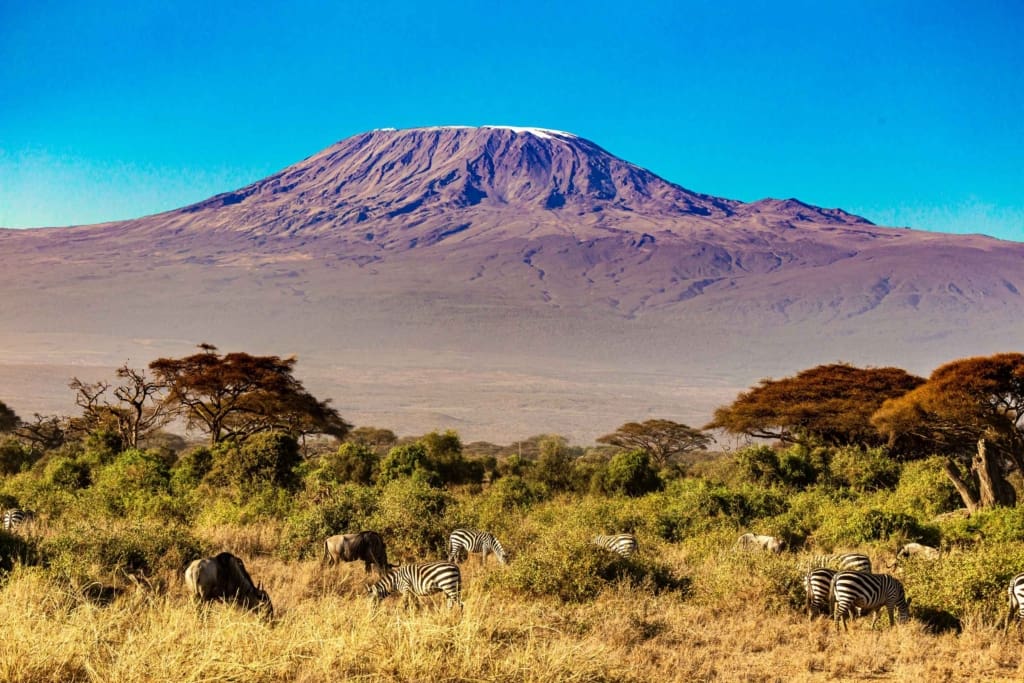 Rejser til Kilimanjaro - Rejser til Afrika med C&C Travel