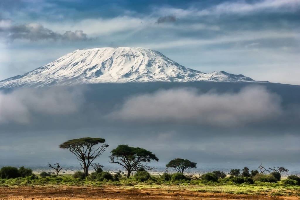 Rejser til Kilimanjaro - Rejser til Afrika med C&C Travel