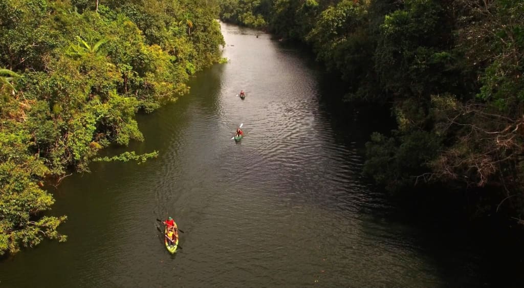 Rejser til Cambodia - Rejser til Koh Kong - Cardamom Tented Camp