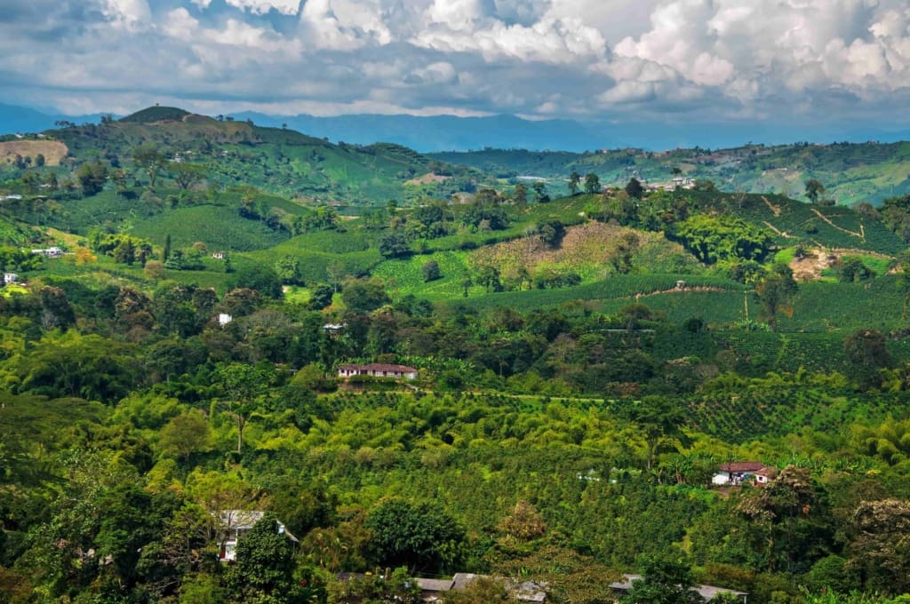 Rejser til Colombia - Rejser til Salento (Zona Cafetera)