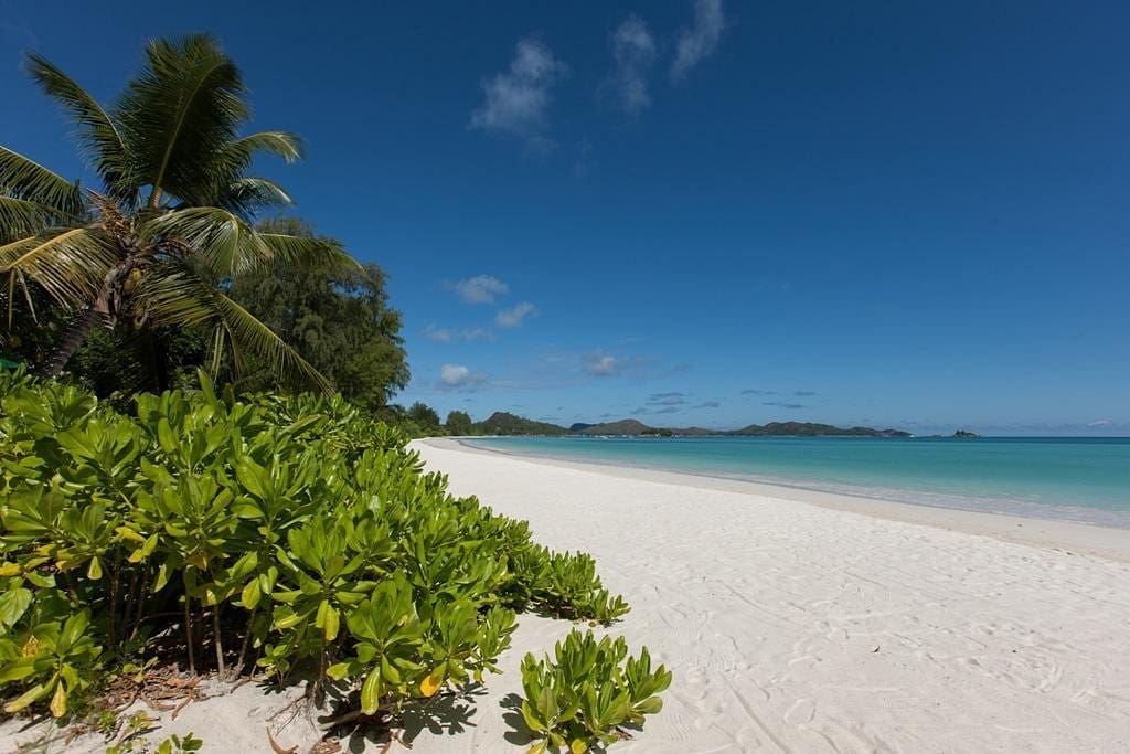 Rejser til Seychellerne - Acajou Beach Resort