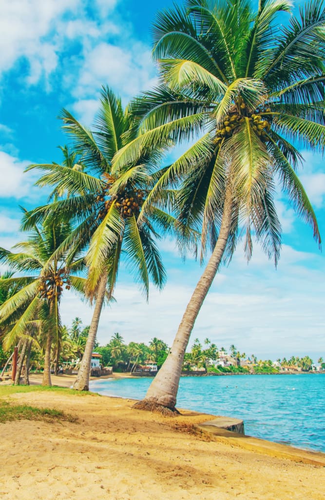 Rejser til Beruwala i Sri Lanka med C&C Travel